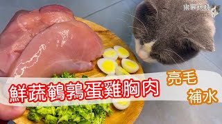 how to make Hairprotecting and nutritious fresh vegetable quail egg chicken breast  for cat