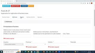 How to Register a Business Name   PNG IPA Online Registry System screenshot 2