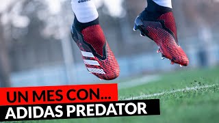 adidas predator con pinchos