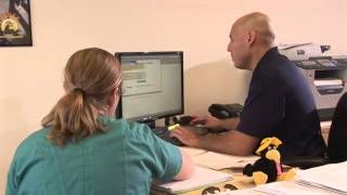 Fiesta Auto Insurance Franchise Corporation