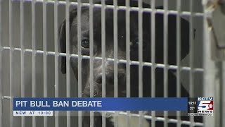 Independence debates pit bull bans during the city council meeting