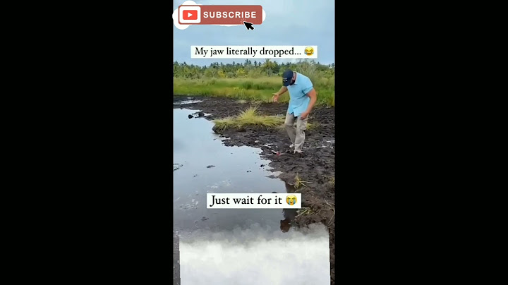 Jo jaisa dikhta hai vaisa hota nahi...😂😂😂😂💕💕