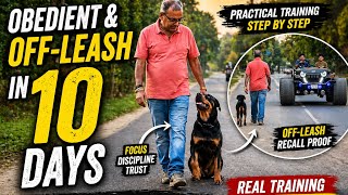 How To Make Your Dog Obedient &amp; Off-Leash in 10 Days | Practical Training Guide 🐕🐶#offleashlife 