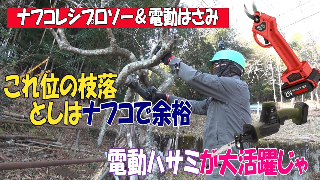 ナフコのレシプロソーに電動ばさみとハンディーチェーンソーで庭木の枝 