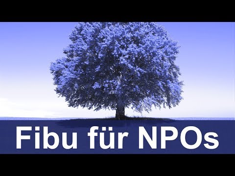 Finanzbuchhaltung (Fibu) für Nonprofit-Organisationen (NPOs)