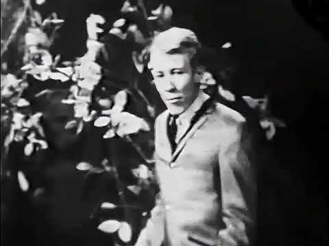 The Trashmen - Surfin' Bird - 1963 - HD -