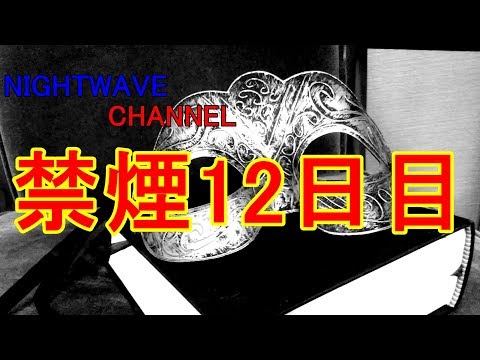 【禁煙生活12日目】全て見続けることが出来れば確実に禁煙に成功する動画