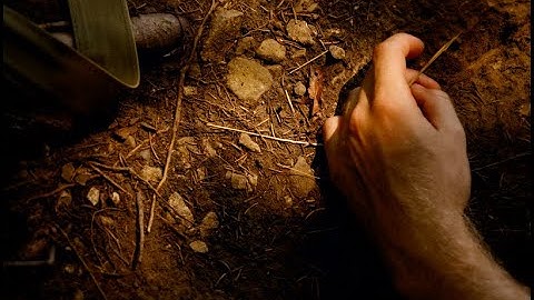 SlowVenia - A Short Film