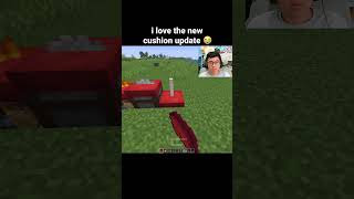 Minecraft Cushion Update Moment