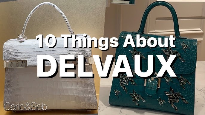 Should I get the Delvaux Cool Box Nano? : r/handbags