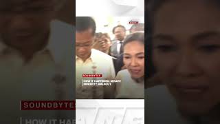 Here's how the Senate minority walkout happened | ANC