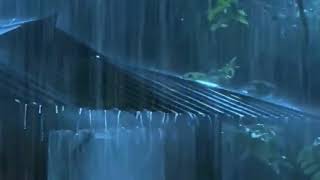 Fall Asleep Fast within 3 Minutes with Heavy Rainstorm & Resounding Thunder in Foggy Forest at Night