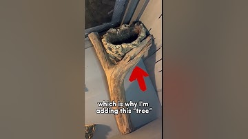 NEW BALL PYTHON SETUP