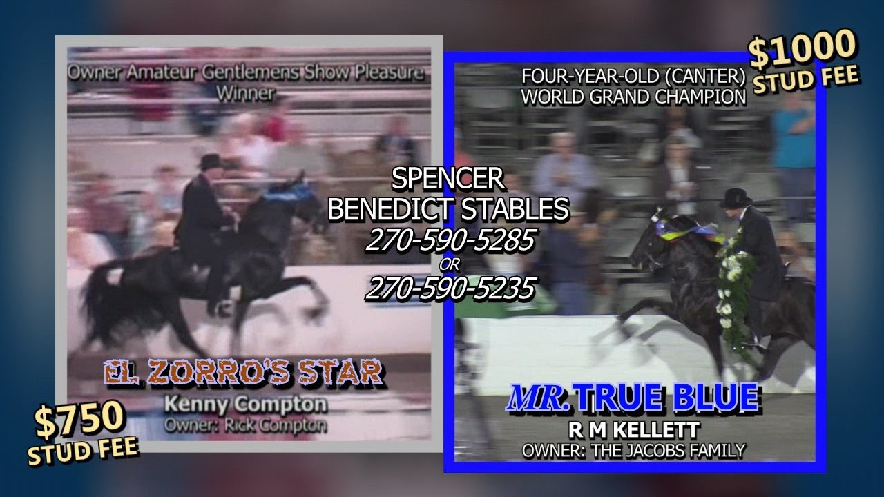 2024 JAKE JACOBS STALLIONS STUD FEE AD YouTube