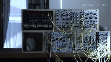 Volca FM + Tapograpchic Delay Plaits + Echoz Ambient / Ensemble Oscillator Mob of Emus Beads