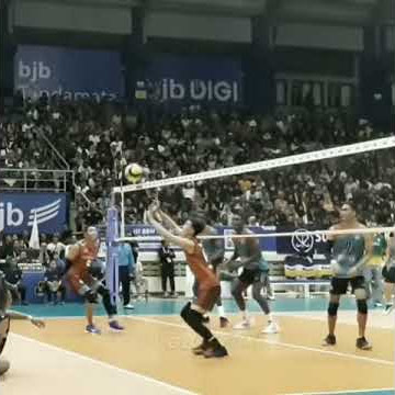 Story wa voli mantap jossss pokonya
