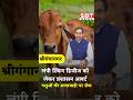 श्रीगंगानगर में लंपी स्किन डिजीज को लेकर प्रशासन अलर्ट, पशुओं की आवाजाही पर रोक | SBT News