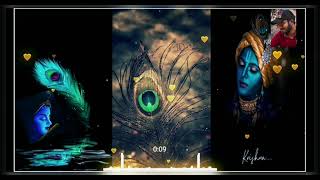 Kitna Pyara Hai Shringar|Krishna Janmastmi Status|Janmastmi 2021|Krishna Bhajan|Ranjeet Patel Kakra