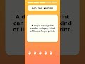 Fun Dog Fact for Dog Lovers