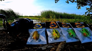 CASTING IKAN GABUS PAKAI SOFTFROG KECIL