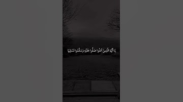 الراحه النفسيه _ القرآن الكريم _ آيات قصيره انستكرام _ #الشيخ_ماهر_المعيقلي _ حالات واتس اب