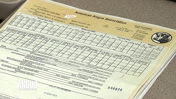 The Angus Report, Jan. 9, 2012: Practical Applications