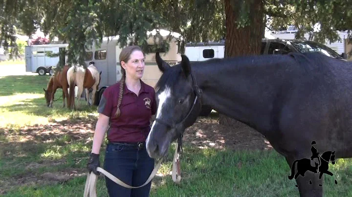 Get Your Young Horses Out!