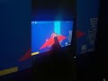 my brother playing a dumb game