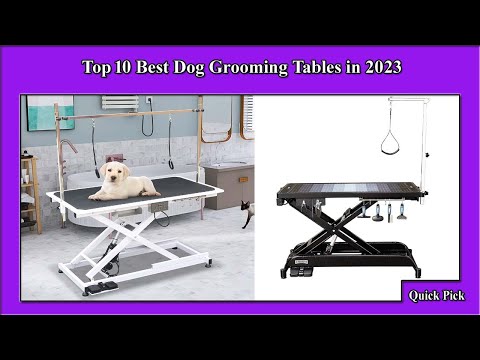 ✅ Find The Best Dog Grooming Tables For You In 2023