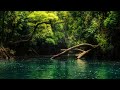 Forest Nature Waterfalls Trees Free HD V Media 7NrKMceE6Wk 001 1080p