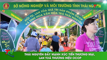 Thái Nguyên đẩy mạnh xúc tiến thương mại, lan toả thương hiệu OCOP