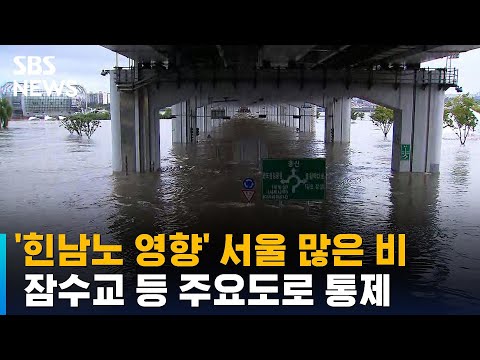 &#39;힌남노 영향&#39; 서울 많은 비…잠수교 등 주요도로 통제 / SBS