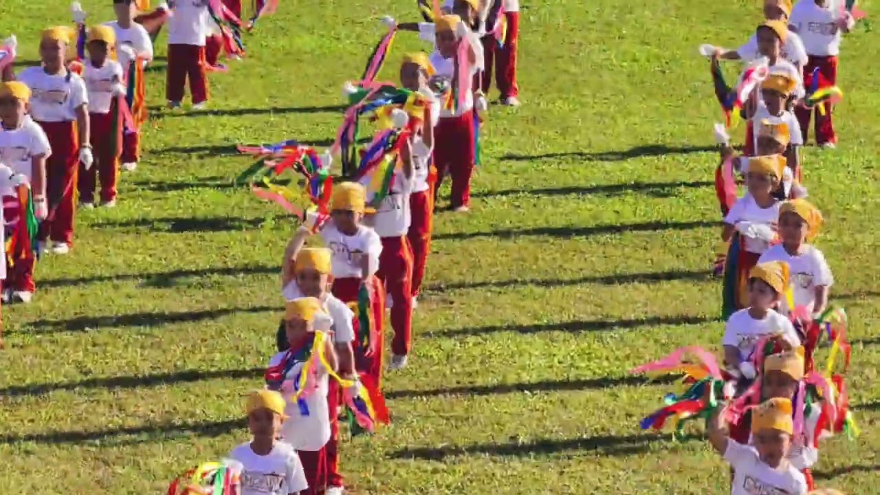 CSA Senior Kinder Field Demonstration