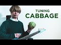 Play in CABBAGE Tuning