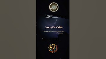 #آيات #القرآن_الكريم #المصحف #راحة_نفسية