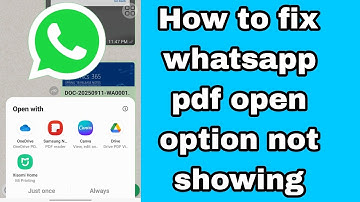 Hoe het probleem op te lossen dat de pdf-openoptie in WhatsApp niet wordt weergegeven in 2025 | W...