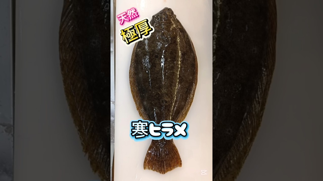 flounderさま個別出品 【公式通販】