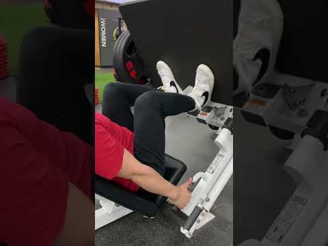 Hack Squat alternatives