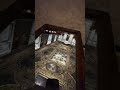 What the place?