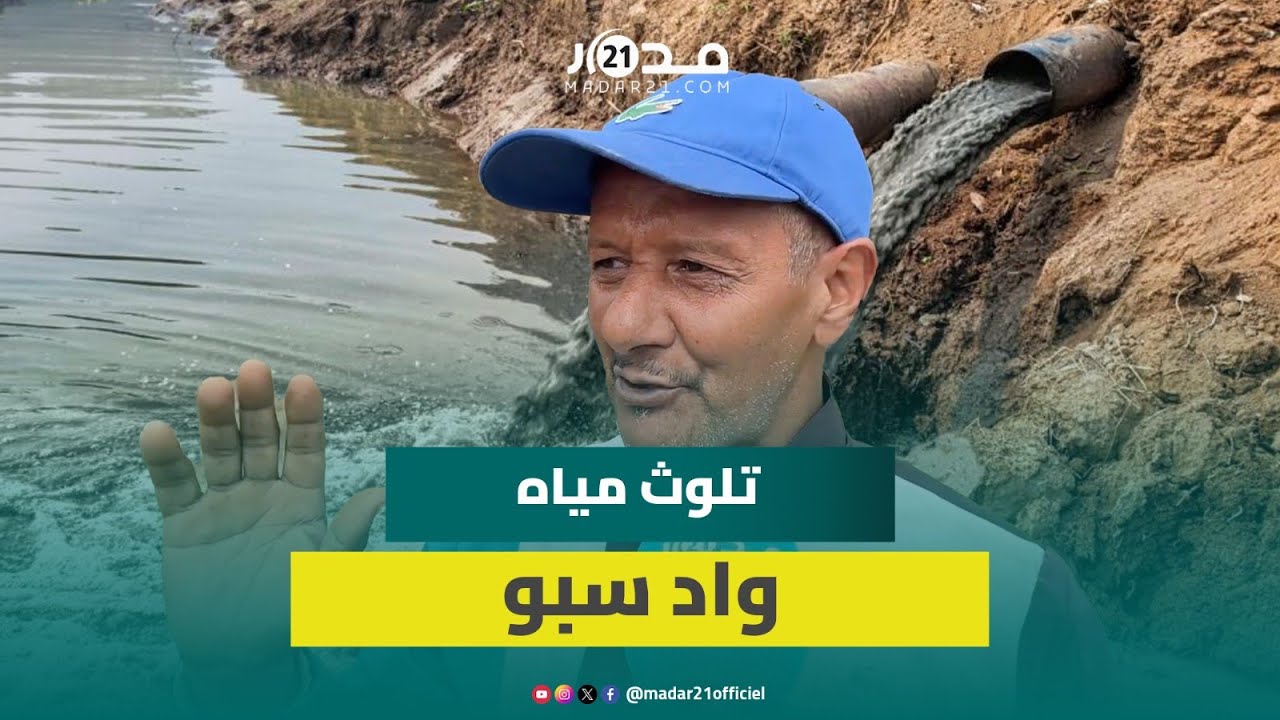 معصرات الزيتون بمولاي يعقوب تلوث مياه واد سبو