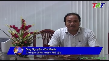 Cây đa Đá Bạc tại Phú Lộc được công nhận cây Di sản | Huế của Tôi