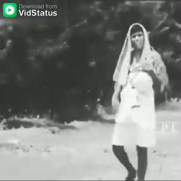 Vadivel ultimate dialogue.🤣🤣🤣