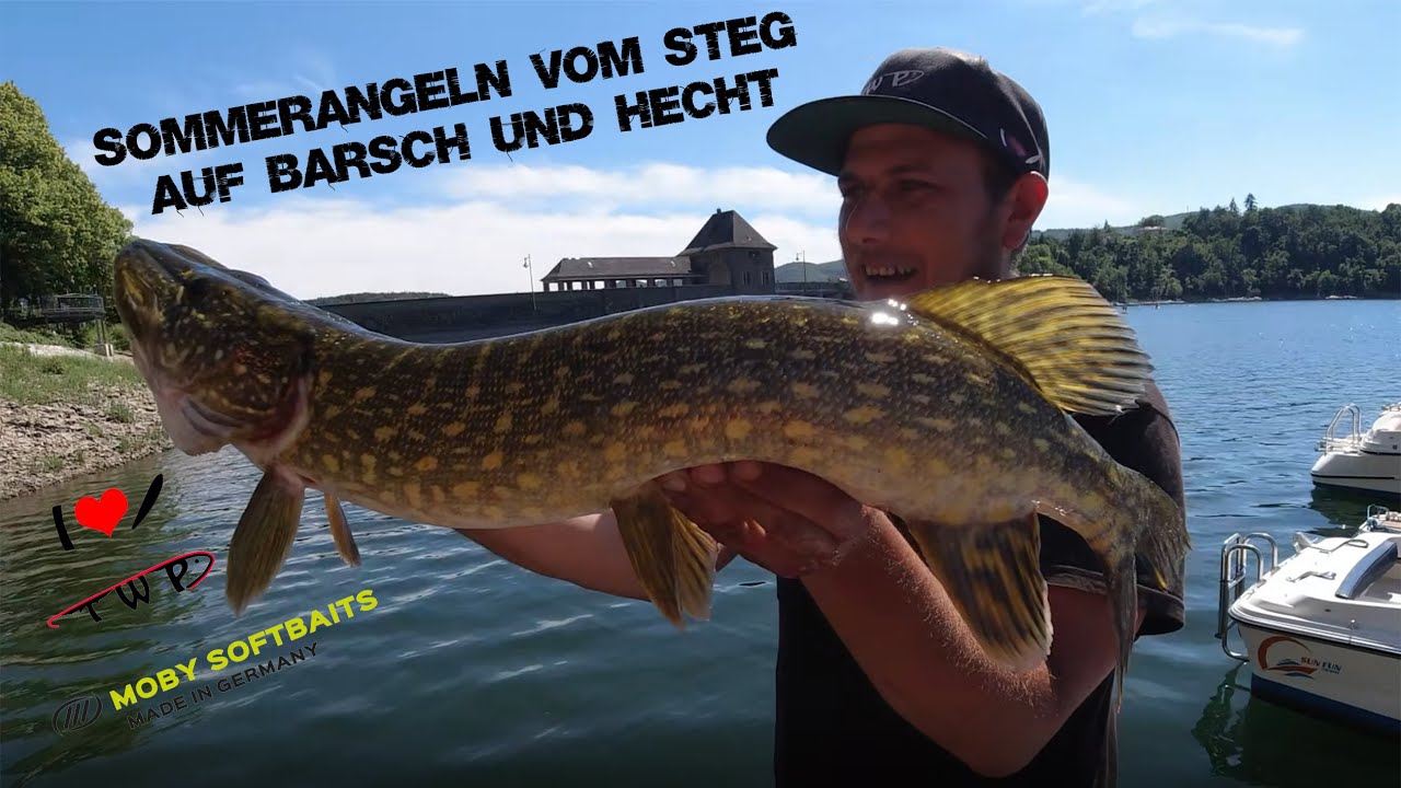 Stegrekord!!! Sommerangeln auf Barsch und Hecht