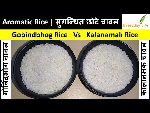 Aromatic Rice | सुगन्धित छोटे चावल | Gobindbhog Vs Kalanamak Rice |