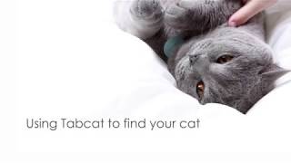 Using Tabcat to find your cat