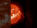 Huge Ongoing Solar Prominence #shorts #science #space #milkyway