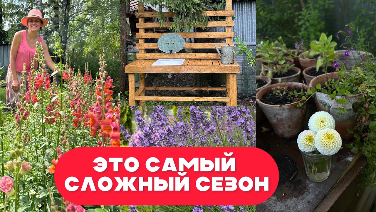 ЦВЕТОЧНАЯ ФЕРМА НЕ ПОЛУЧИЛАСЬ… САДОВЫЙ СТОЛ и ПЕРВЫЙ ОБЗОР ПЕТУНИЙ