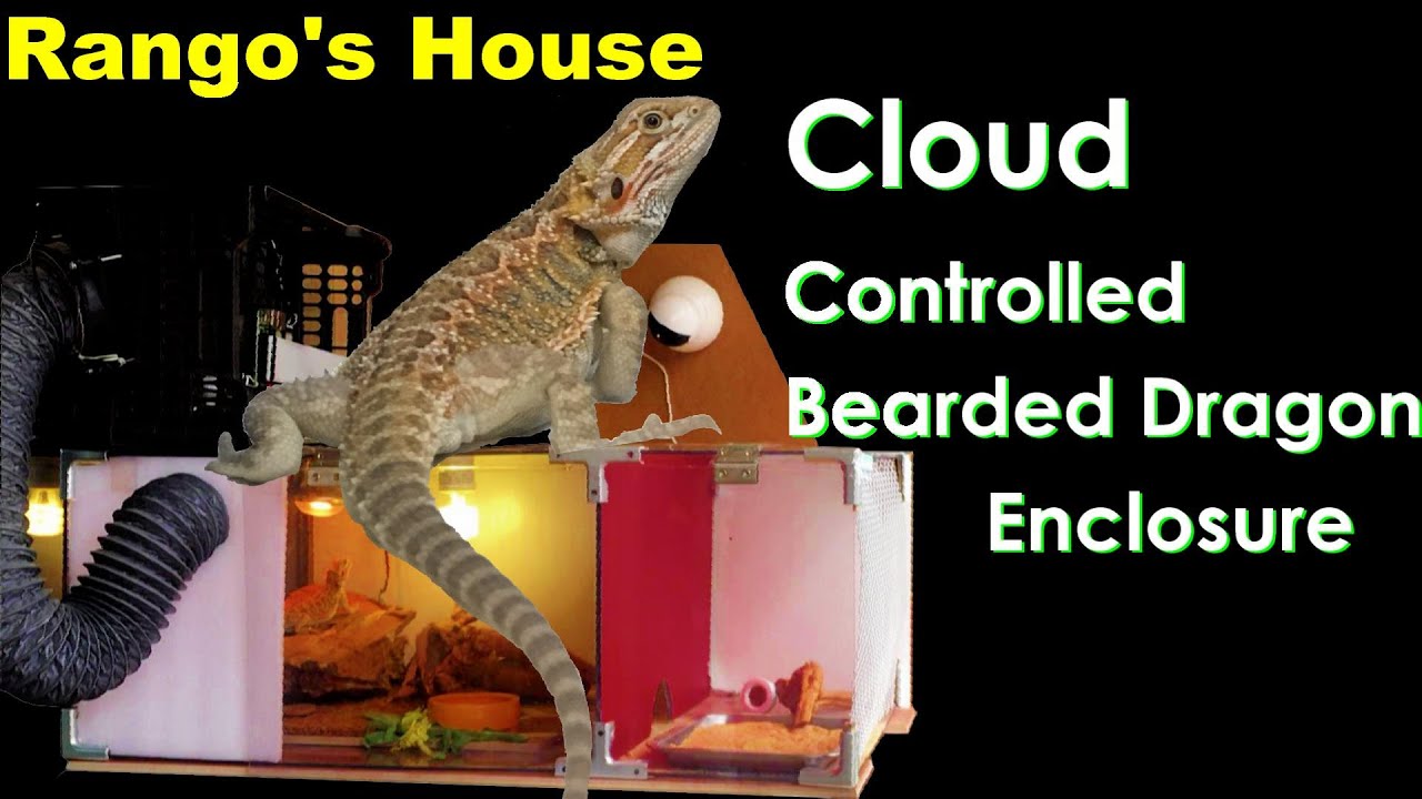 DIY Cloud Controlled Bearded Dragon Enclosure - YouTube