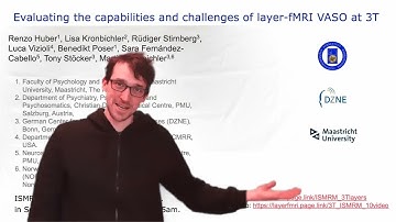 Evaluating the capabilities and challenges of layer-fMRI VASO at 3T