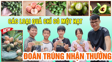 Thử Thách Kể Tên Các Loại Quả Chỉ Có Một Hạt | Đoán Trúng Nhận Thưởng